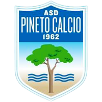 皮内托